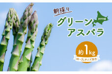 アスパラ 北海道 朝採り 春グリーンアスパラ 約1kg［ほりぐち農園］ ※2026年4月中旬出荷開始先行予約 野菜 アスパラガス グリーンアスパラ 旬 とれたて お取り寄せ 産地直送 生産者直送  