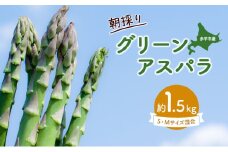 アスパラ 北海道 約1.5kg！朝採り 露地限定グリーンアスパラ（M・Sサイズ混合）［ほりぐち農園］※2025年5月中旬出荷開始先行予約 野菜 アスパラガス グリーンアスパラ 旬 とれたて お取り寄せ 産地直送 生産者直送
