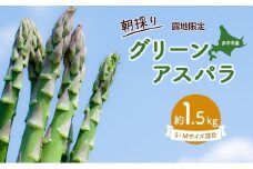 アスパラ 北海道 約1.5kg！朝採り 露地限定グリーンアスパラ（M・Sサイズ混合）［ほりぐち農園］※2026年5月中旬出荷開始先行予約  野菜 アスパラガス 旬 とれたて お取り寄せ 産地直送 