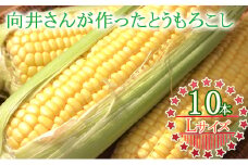 向井さんが作ったとうもろこし［Lサイズ10本］※8月下旬より順次出荷