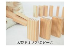 ドミノ 木製 おもちゃ こだわりの木材でつくる！ 木製ドミノ 250ピース 工芸品 室内 遊び 玩具 ファミリートイ ゲーム 