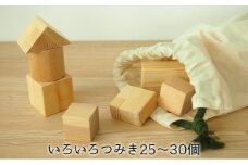 積み木 木製 おもちゃ いろいろ つみき 25～30個 日本製 工芸品 室内 遊び 知育 玩具 ファミリートイ ゲーム 