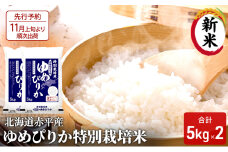 【先行予約2025年産米・11月上旬より順次出荷】北海道赤平産 ゆめぴりか 10kg (5kg×2袋)特別栽培米 米 北海道 お米 