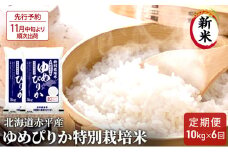 【先行予約2025年産米・11月中旬より順次出荷】北海道赤平産 ゆめぴりか 10kg (5kg×2袋) 特別栽培米 【6回お届け】 米 北海道 定期便 お米 