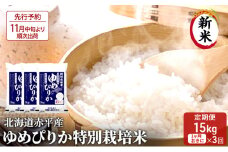 【先行予約2025年産米・11月中旬より順次出荷】北海道赤平産 ゆめぴりか 15kg (5kg×3袋) 特別栽培米 【1ヵ月おきに3回お届け】 米 北海道 定期便 お米 
