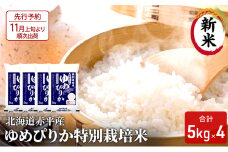【先行予約2025年産米・11月上旬より順次出荷】北海道赤平産 ゆめぴりか 20kg (5kg×4袋) 特別栽培米 米 北海道 お米 ふるさと納税 