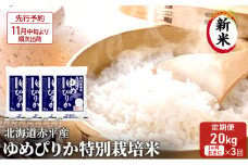【先行予約2025年産米・11月中旬より順次出荷】北海道赤平産 ゆめぴりか 20kg (5kg×4袋) 特別栽培米 【1ヵ月おきに3回お届け】 米 北海道 定期便 お米 