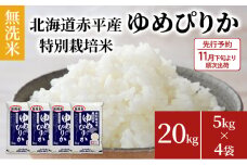 【先行予約2025年産米・11月下旬より順次出荷】無洗米 北海道赤平産 ゆめぴりか 20kg (5kg×4袋) 特別栽培米 米 北海道 お米 ふるさと納税 