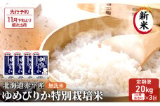 【先行予約2025年産米・11月下旬より順次出荷】無洗米 北海道赤平産 ゆめぴりか 20kg (5kg×4袋) 特別栽培米 【1ヵ月おきに3回お届け】 米 北海道 定期便 お米 ふるさと納税 