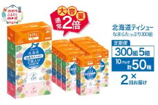 2回お届け 計100箱 エリエール 北海道 ティシュー なまらたっぷり 300組5箱 10パック 大容量 まとめ買い 防災 常備品 備蓄品 消耗品 日用品 生活必需品 送料無料 赤平市 ストック 