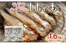 子持ちからふとししゃも 約1.6kg(800g×2) 樺太 魚シシャモ メス おつまみ