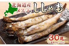 北海道産ししゃもメス大30尾 北海道 稀少 魚シシャモ メス おつまみ
