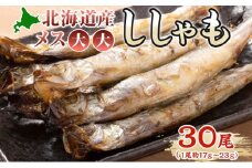 北海道産ししゃもメス大大30尾 北海道 稀少 魚シシャモ メス おつまみ