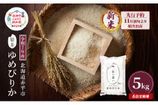 【先行予約】令和7年産 北海道 赤平産 ゆめぴりか 5kg 6ヵ月連続お届け 白米 精米 米 北海道 ごはん ご飯 ライス おにぎり 定期便 定期 お楽しみ 6回