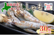 北海道産ししゃもオス大30尾 北海道 稀少 魚 シシャモ オス おつまみ 魚貝類 干物 本物 人気 希少 塩 味付け 脂のり 旨み 美味しい 大きい