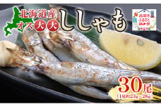 北海道産ししゃもオス大大30尾 北海道 稀少 魚 シシャモ オス おつまみ 魚貝類 干物 本物 人気 希少 塩 味付け 脂のり 旨み 美味しい 大きい