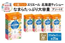 定期便 2ヵ月連続お届け エリエール ハーフサイズ 収納に便利 コンパクト 少量5パック [アソートX] 北海道ティシュー 300組 5箱×5パック 計25箱 なまらたっぷり 大容量  防災 常備品 備蓄品 消耗品 日用品