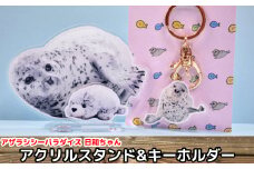 10-503 日和のアクリルスタンド・キーホルダー【アザラシシーパラダイスグッズ】