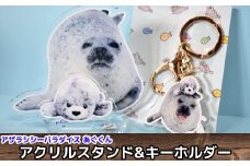 10-502 あぐのアクリルスタンド・キーホルダー【アザラシシーパラダイスグッズ】