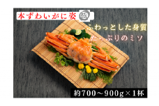 18-106 本ずわいがに姿 大型サイズ1杯