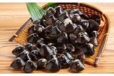 12-189 冷凍砂出ししじみ　5袋セット