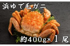 18-113 流氷明け浜ゆで毛ガニ約400g