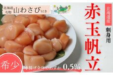 33-31 【希少】お刺身用 赤帆立800g　｜北海道産　グルメ　海鮮丼