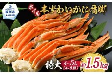 23-53 【特大4L～5L】ボイル本ずわいがに肩脚　4～5肩(約1.5kg)