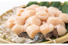 29-17 大粒！冷凍帆立貝柱500ｇ×3(計1.5kg) | ホタテ ほたて 玉冷