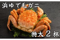 52-10 流氷明け浜ゆで毛ガニ　特大2杯
