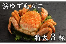 78-16 流氷明け浜ゆで毛ガニ　特大3杯