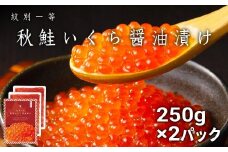 25-77 紋別一等～いくら醤油漬け500g（250g×2パック）