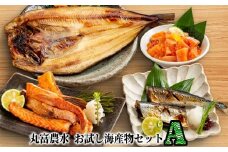 11-182 丸富農水お試し海産物セットＡ