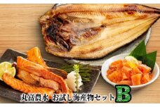 11-178 丸富農水お試し海産物セットＢ
