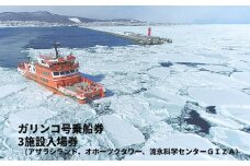 17-79 ガリンコ号Ⅲ IMERU 冬期運航 流氷クルーズ乗船券（3施設入場券セット）