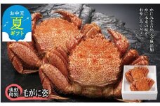 50-76 【お中元】【北海道産】毛がに姿 2尾計約1.0kg　【無添加】 ｜かに 毛がに 高品質