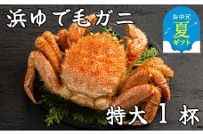 26-38 【お中元】流氷明け浜ゆで毛ガニ　特大1杯