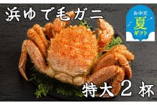 52-12 【お中元】流氷明け浜ゆで毛ガニ　特大2杯