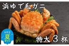 78-18 【お中元】流氷明け浜ゆで毛ガニ　特大3杯