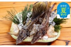 12-223 【お中元】オホーツク八角丸干し1kg