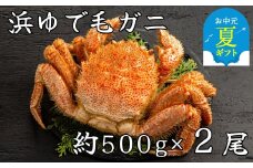 44-42 【お中元】流氷明け浜ゆで毛ガニ約500g×2尾