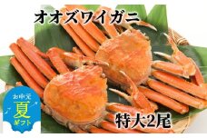 15-310 【お中元】北海道産　特大ボイルオオズワイガニ姿　２尾　計1.5ｋｇ内外