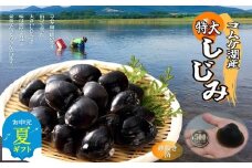 19-77 【お中元】【紋別市コムケ湖産】 手獲り特大しじみ　600g
