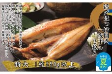 15-321 【お中元】【紋別産】船上活〆ほっけの開き一夜干し【2枚入】【数量限定】