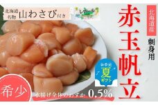 22-128 【お中元】【希少】お刺身用 赤帆立800g　｜ 北海道産　グルメ　海鮮丼