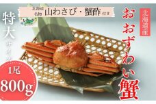 20-290 【北海道産】特大サイズ オオズワイガニ姿　800g以上1尾 ｜ 蟹酢・山わさび付　かに　おおずわいがに