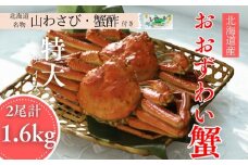 35-49 【北海道産】オオズワイガニ姿　特大サイズ2尾計1.6kg ｜ 蟹酢・山わさび付　かに　おおずわいがに