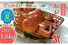 35-50 【お中元】【北海道産】オオズワイガニ姿　特大サイズ2尾計1.6kg ｜ 蟹酢・山わさび付　かに　おおずわいがに