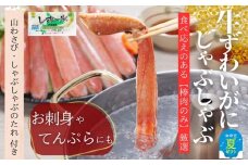 70-65 【お中元】ずわいがにしゃぶしゃぶ 500g×2セット ｜ 山わさび しゃぶしゃぶのタレ付き かに ずわいがに 高品質