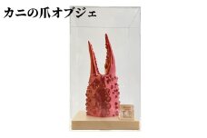 34-23 カニの爪オブジェ（大型）ケース付き